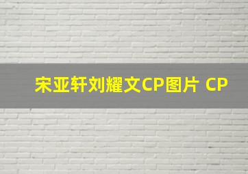 宋亚轩刘耀文CP图片 CP